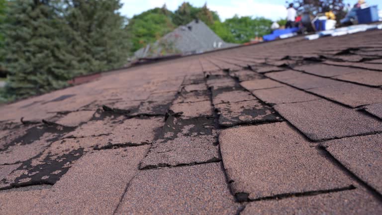 Best 4 Ply Roofing  in Corpus Christi, TX