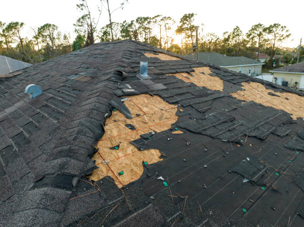 Best Roof Maintenance and Cleaning  in Corpus Christi, TX