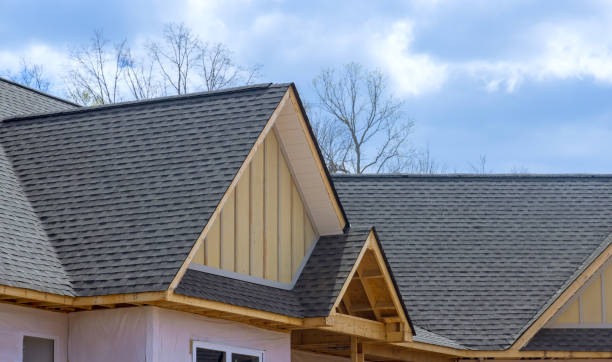 Best Gutter Installation and Repair  in Corpus Christi, TX